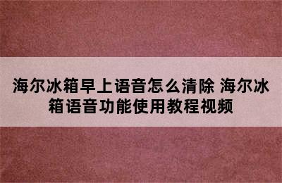 海尔冰箱早上语音怎么清除 海尔冰箱语音功能使用教程视频